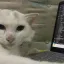 Segfault